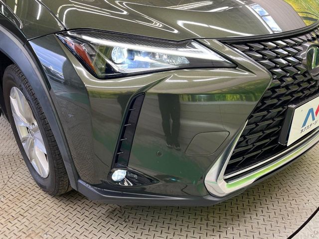 Lexus UX 12