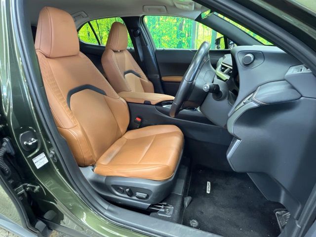 Lexus UX 9