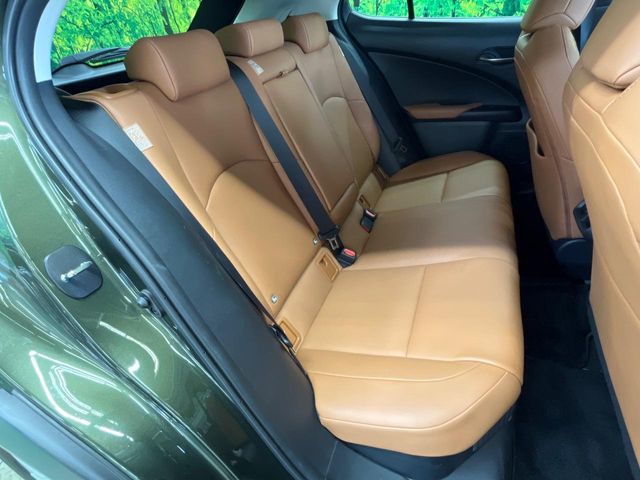 Lexus UX 10