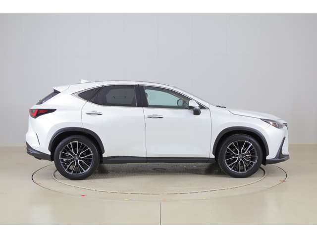 Lexus NX 4