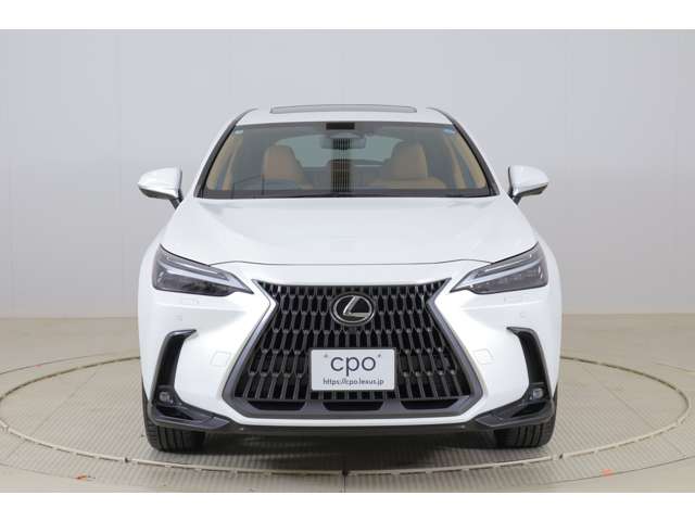 Lexus NX 5