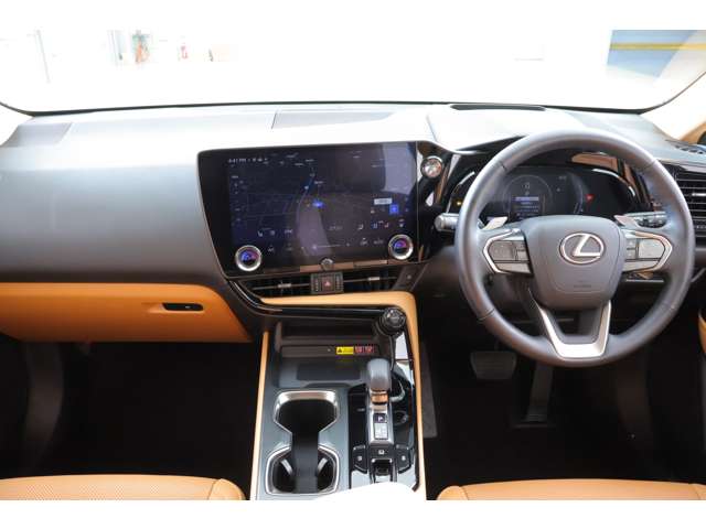Lexus NX 6