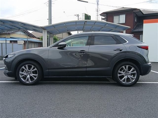Mazda CX-30 9