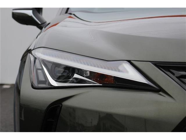 Lexus UX 12