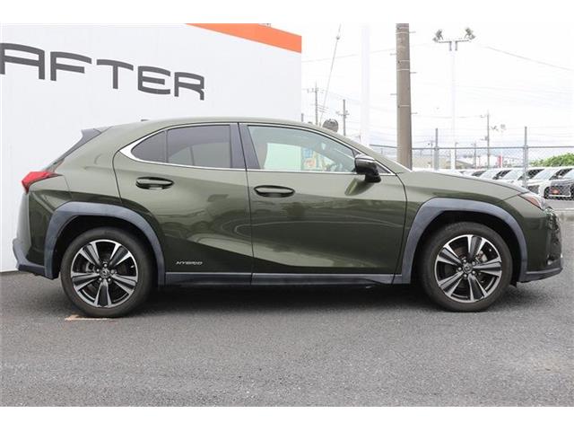 Lexus UX 9