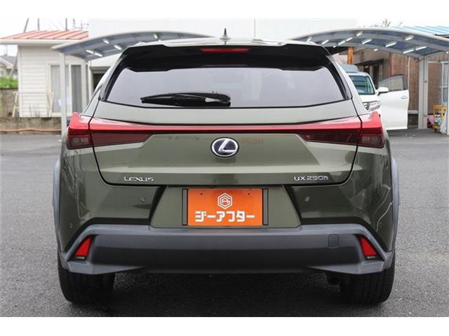 Lexus UX 10