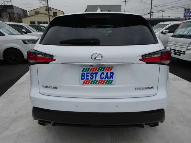 Lexus NX 8