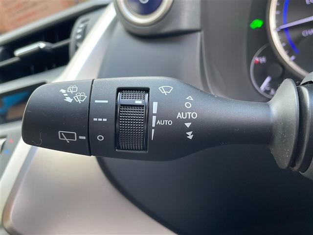 Lexus NX 11