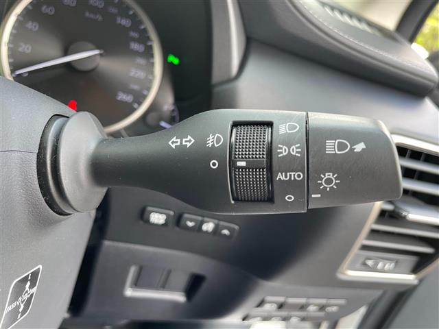 Lexus NX 12