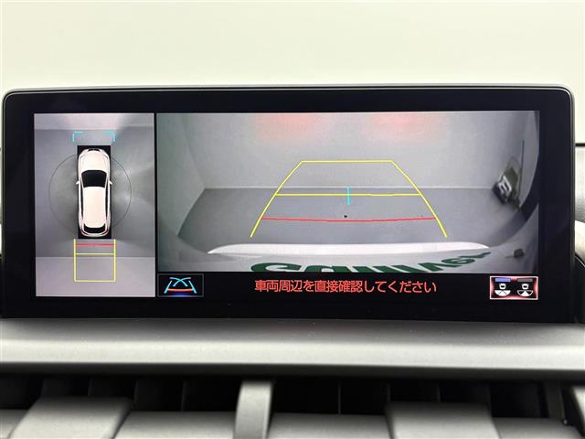 Lexus NX 6