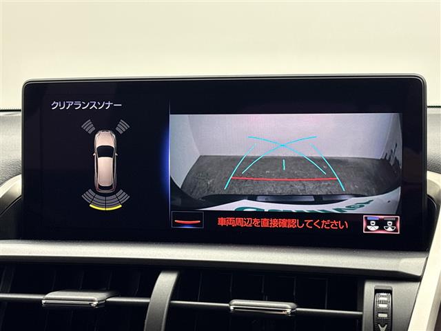 Lexus NX 7