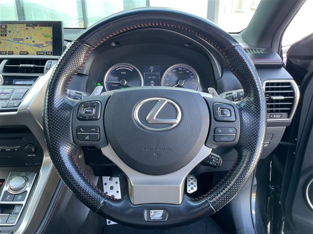 Lexus NX 12