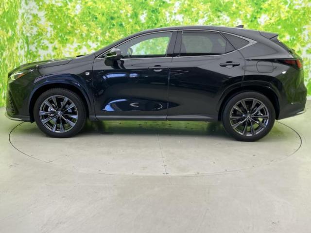 Lexus NX 5