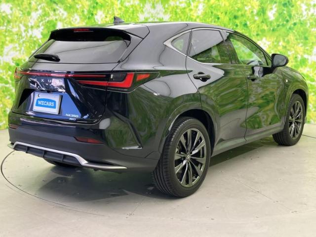 Lexus NX 6
