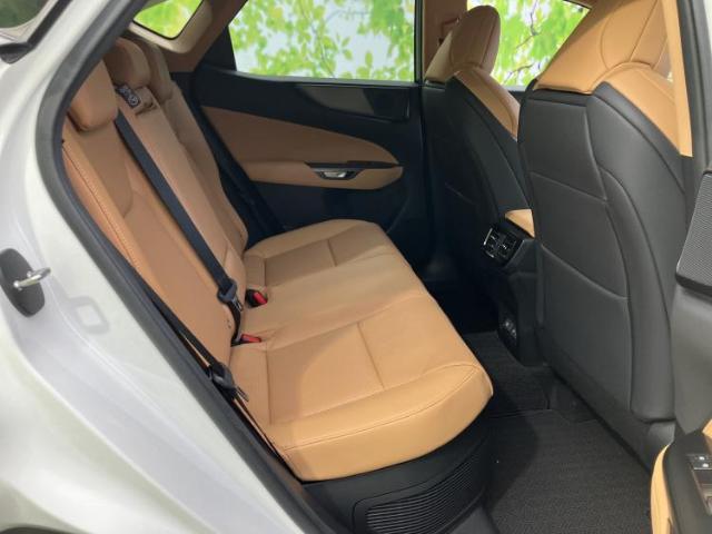 Lexus NX 7