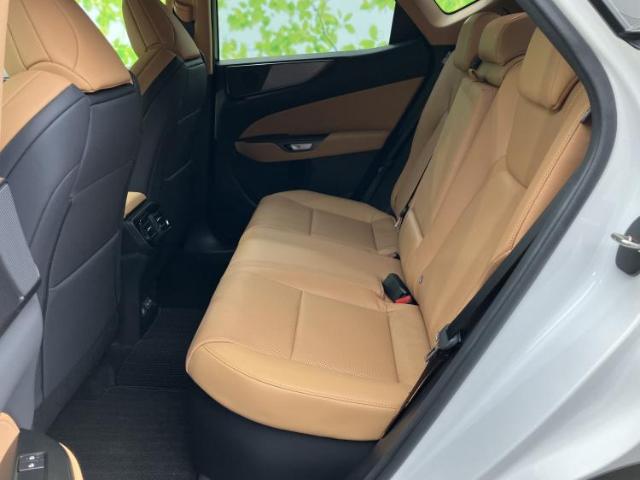Lexus NX 9