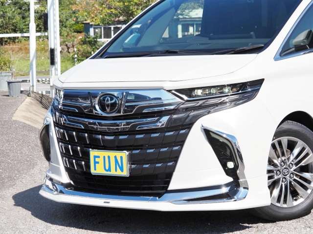 Toyota Alphard 11