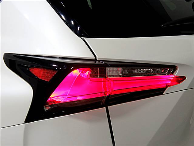 Lexus NX 12