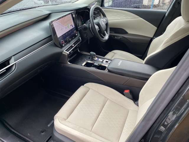 Lexus RX 11