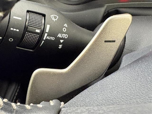 Lexus NX 12