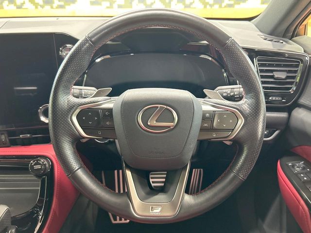 Lexus NX 11