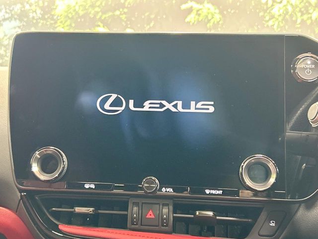 Lexus NX 4