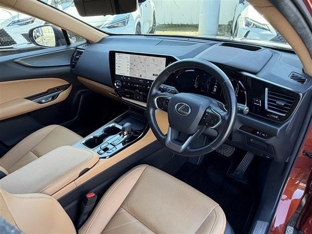 Lexus NX 11