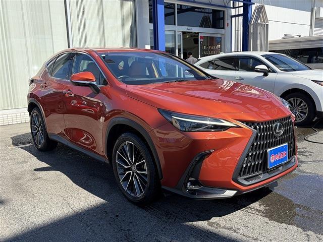 Lexus NX 4
