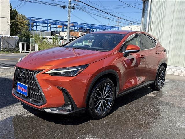 Lexus NX 6