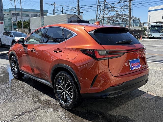 Lexus NX 7