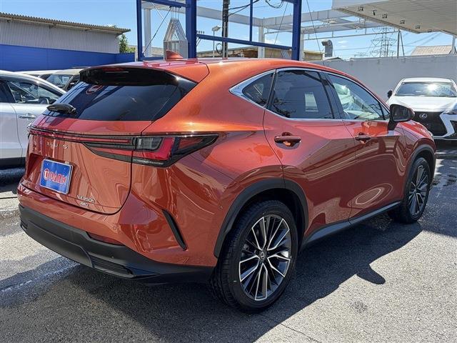 Lexus NX 9