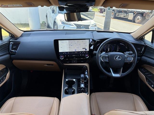 Lexus NX 10