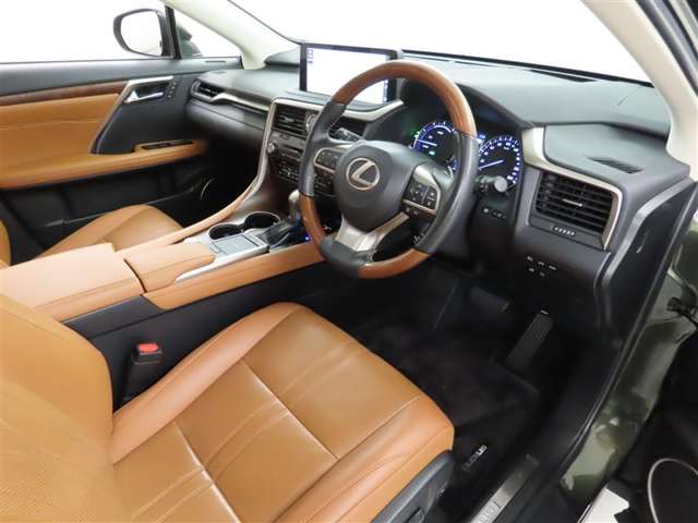 Lexus RX 11