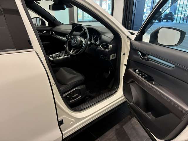 Mazda CX-8 12