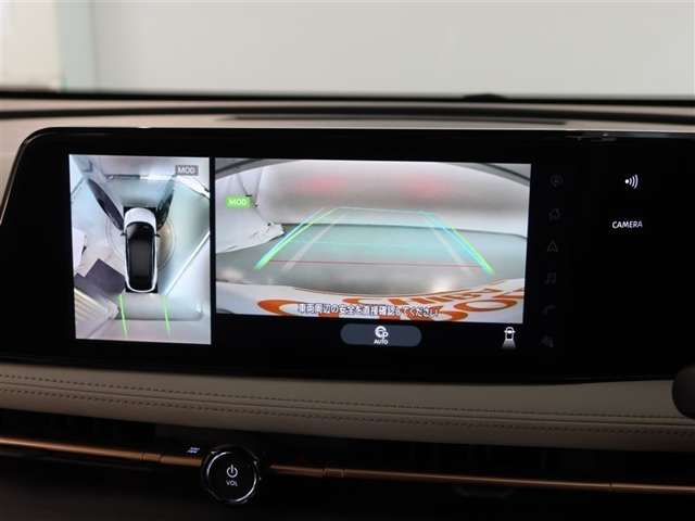 Nissan Ariya 10