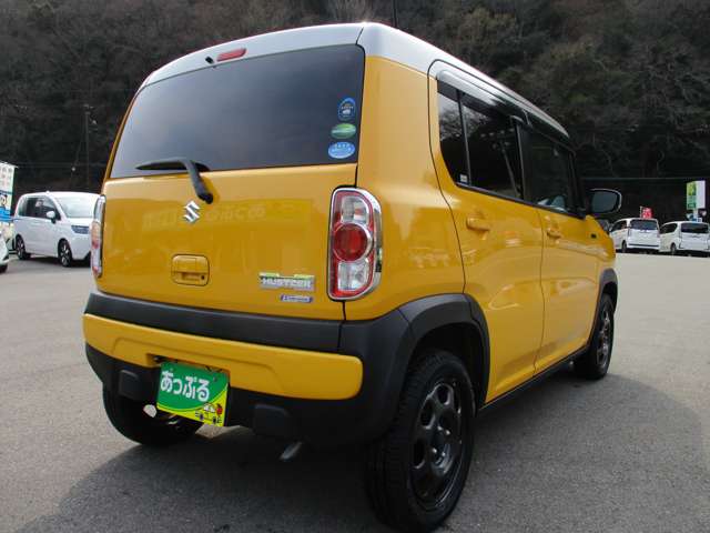 Suzuki Hustler 9
