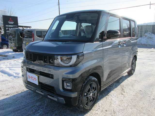 Mitsubishi Delica Mini 2