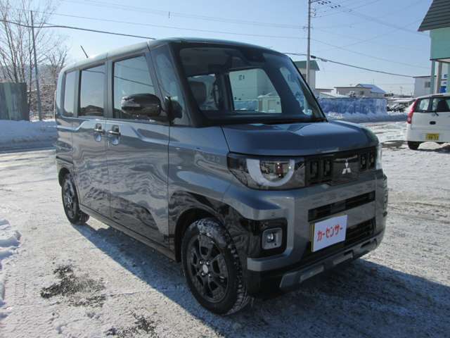 Mitsubishi Delica Mini 4