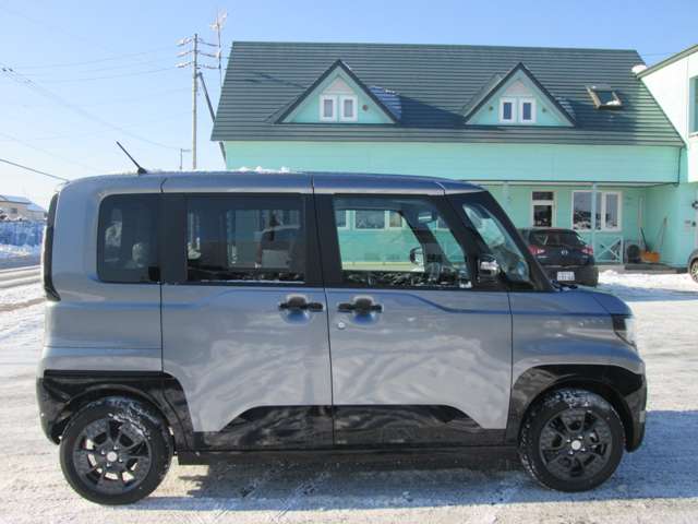 Mitsubishi Delica Mini 5