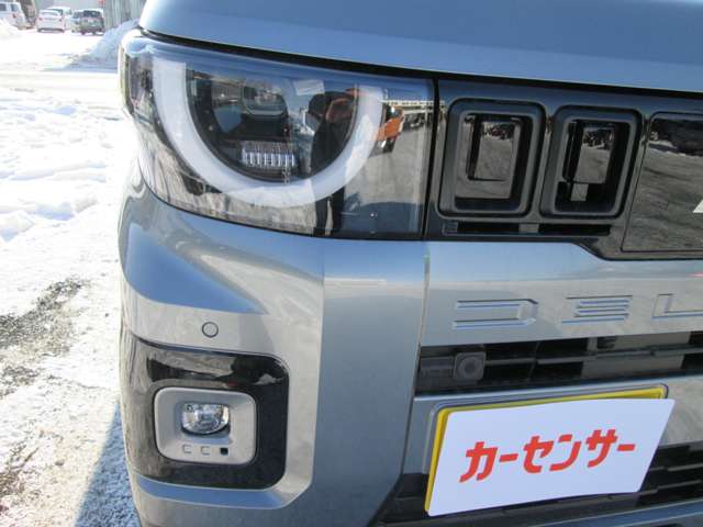 Mitsubishi Delica Mini 10