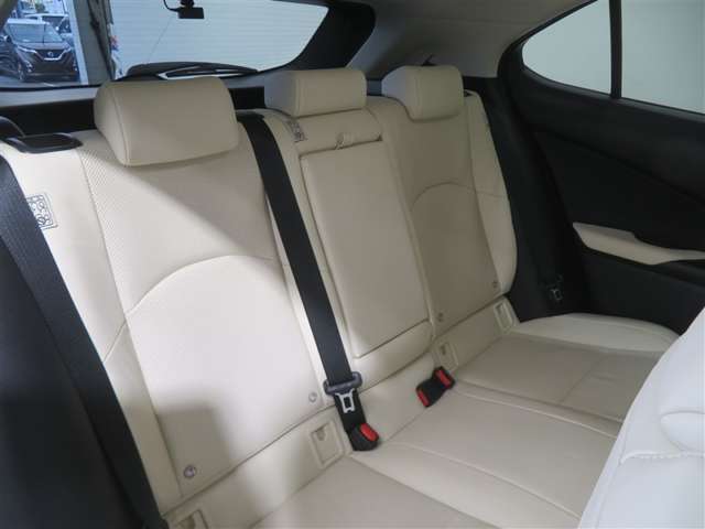 Lexus UX 11
