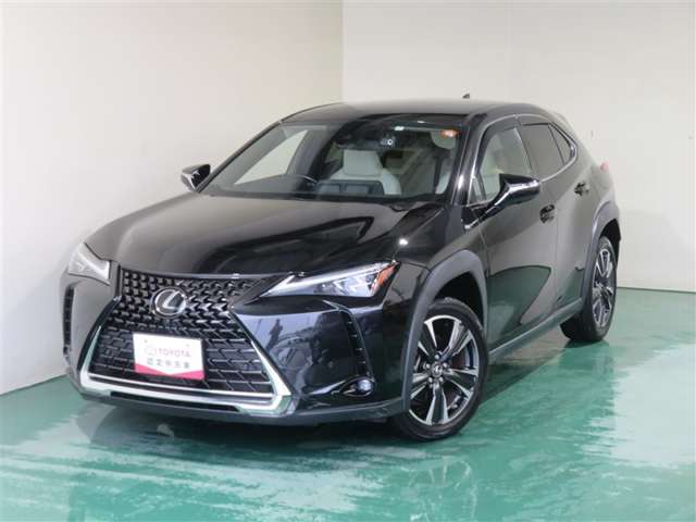 Lexus UX 12
