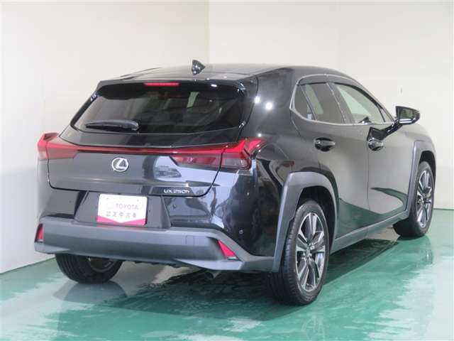 Lexus UX 8