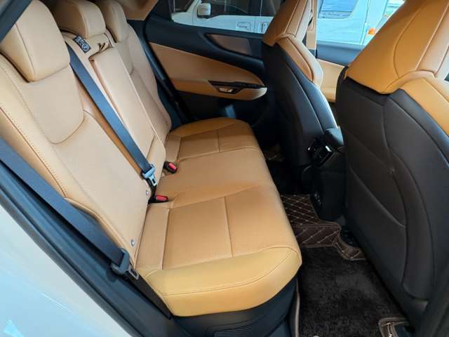 Lexus NX 7