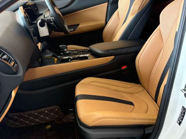 Lexus NX 9