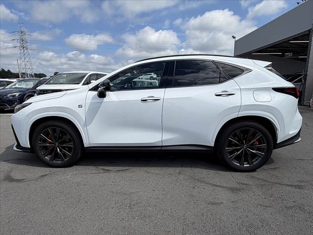 Lexus NX 11