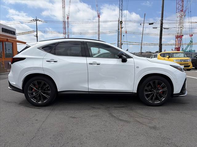 Lexus NX 12