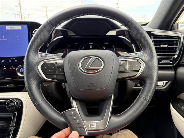Lexus NX 7