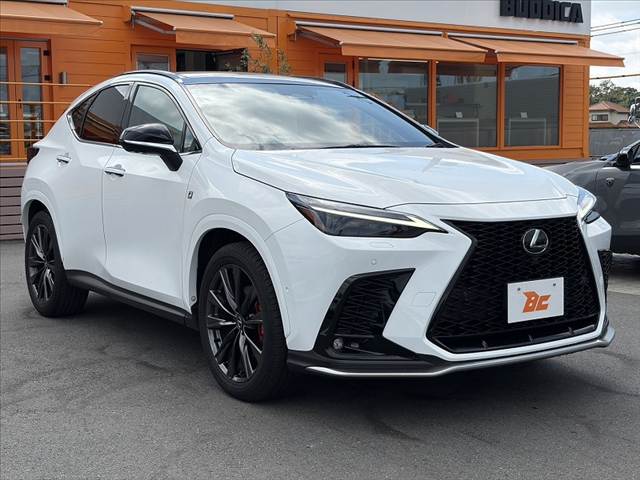 Lexus NX 8