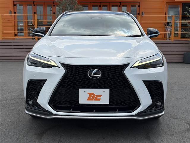 Lexus NX 9